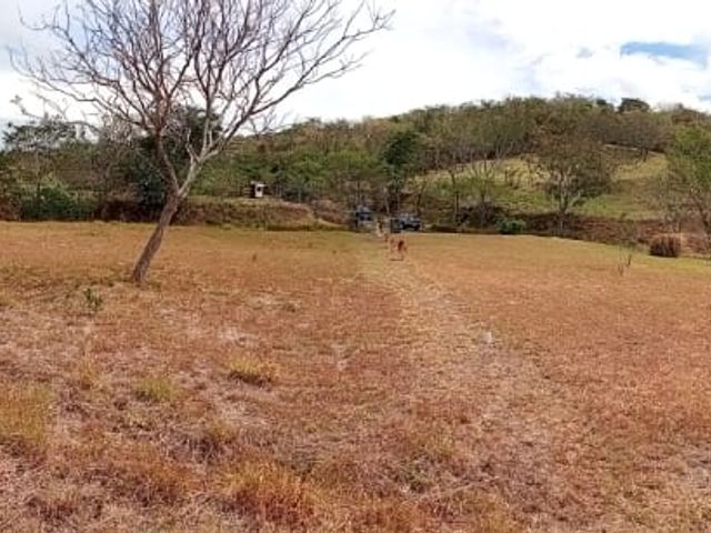 Lote Premium en Hacienda Los Bambúes - Brasil Santa Ana — photo 12 of 15