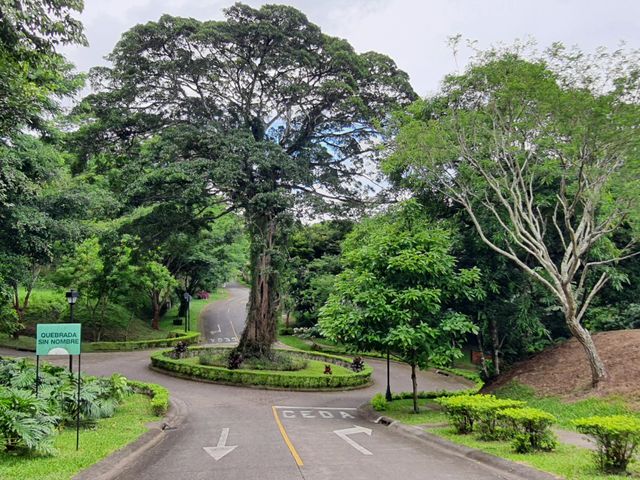 Lote Premium en Hacienda Los Bambúes - Brasil Santa Ana — photo 7 of 15