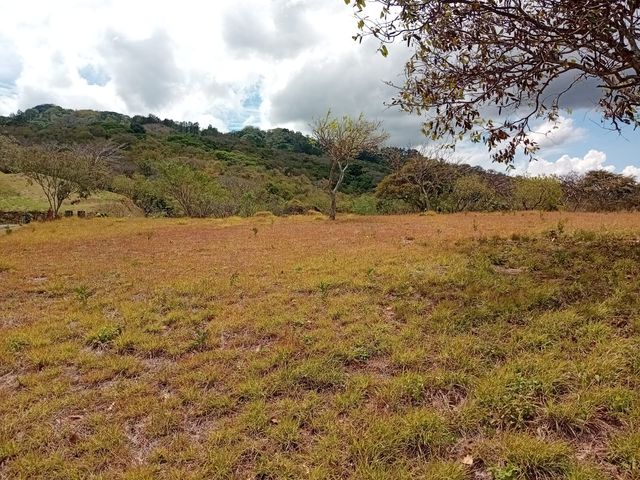 Lote Premium en Hacienda Los Bambúes - Brasil Santa Ana — photo 10 of 15