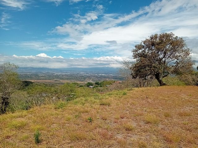 Lote Premium en Hacienda Los Bambúes - Brasil Santa Ana — photo 15 of 15