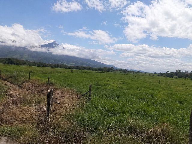 FINCA LECHERA GUAYABO DE BAGACES — photo 2 of 10