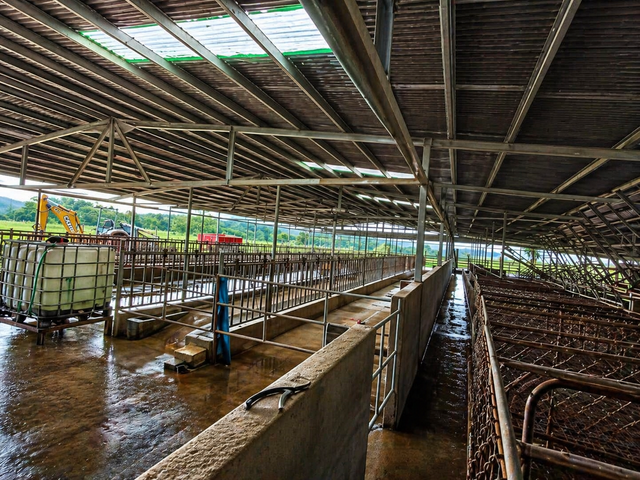 FINCA LECHERA GUAYABO DE BAGACES — photo 6 of 10