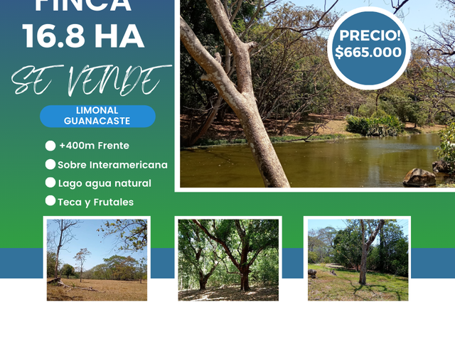 FINCA LAGUITO LIMONAL GUANACASTE — photo 1 of 14
