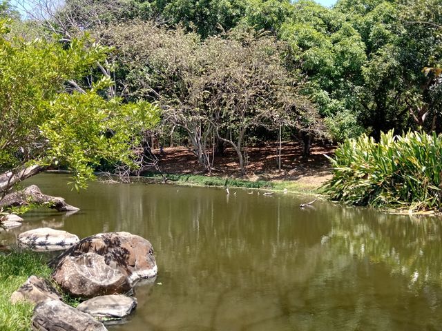 FINCA LAGUITO LIMONAL GUANACASTE — photo 2 of 14
