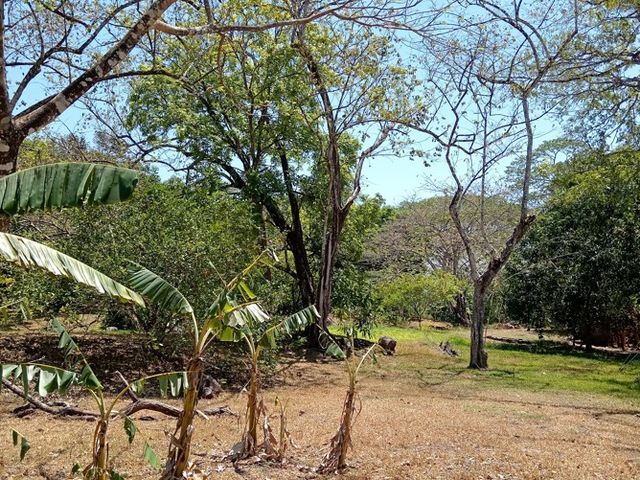 FINCA LAGUITO LIMONAL GUANACASTE — photo 6 of 14