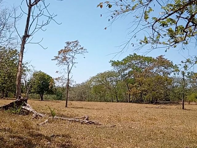 FINCA LAGUITO LIMONAL GUANACASTE — photo 7 of 14