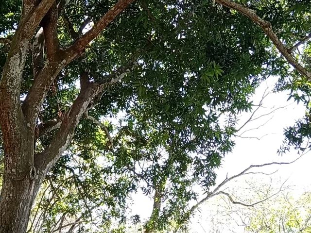 FINCA LAGUITO LIMONAL GUANACASTE — photo 11 of 14