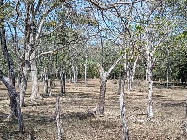 FINCA LAGUITO LIMONAL GUANACASTE — photo 13 of 14