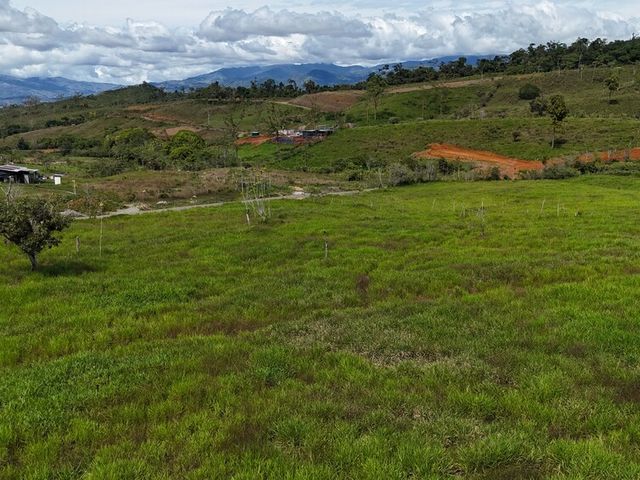 Lot for Sale in Santa Elena to Build, a Unique Real Estate Investment Opportunity — foto 7 de 13