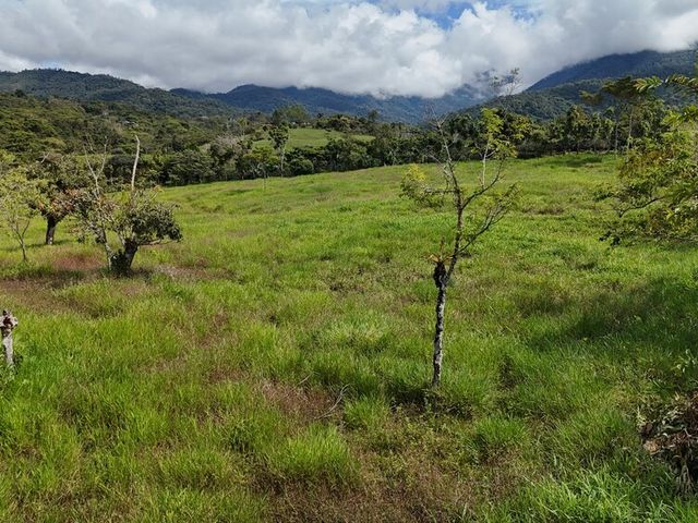 Lot for Sale in Santa Elena to Build, a Unique Real Estate Investment Opportunity — foto 4 de 13