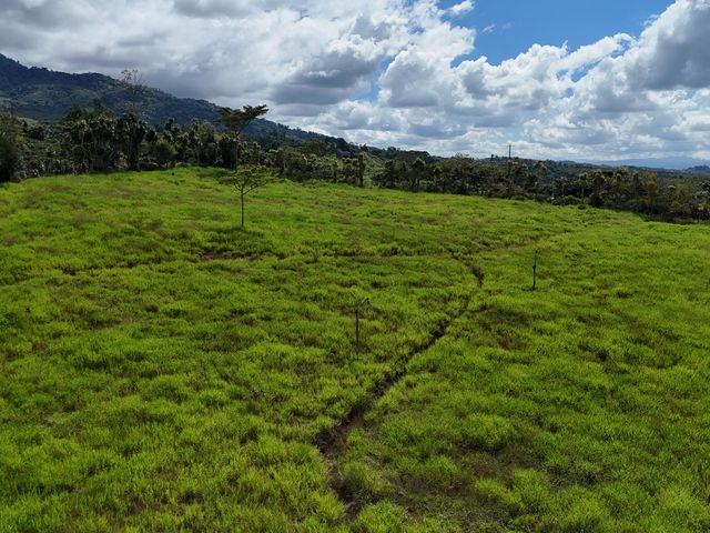 Luxury Lot for Sale in Santa Elena, Nature, Privacy, and Excellent Location — photo 2 of 12