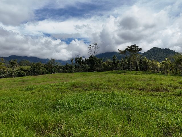 Luxury Lot for Sale in Santa Elena, Nature, Privacy, and Excellent Location — photo 4 of 12