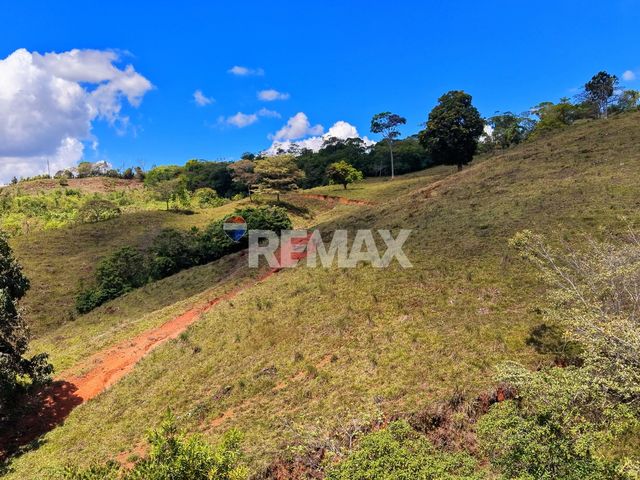 71-Acre Investment Property in Costa Rica with Mountain Views and Water Rights — photo 3 of 26