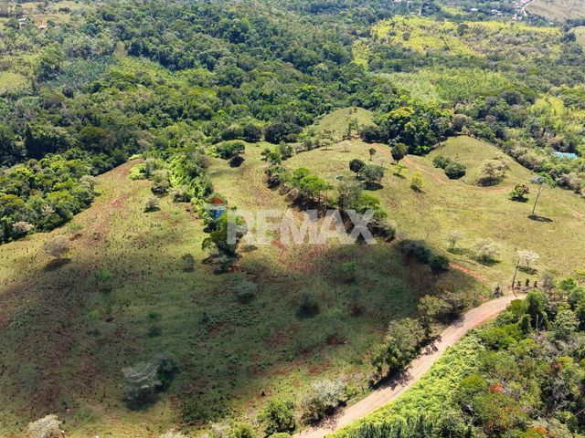 71-Acre Investment Property in Costa Rica with Mountain Views and Water Rights — photo 2 of 26