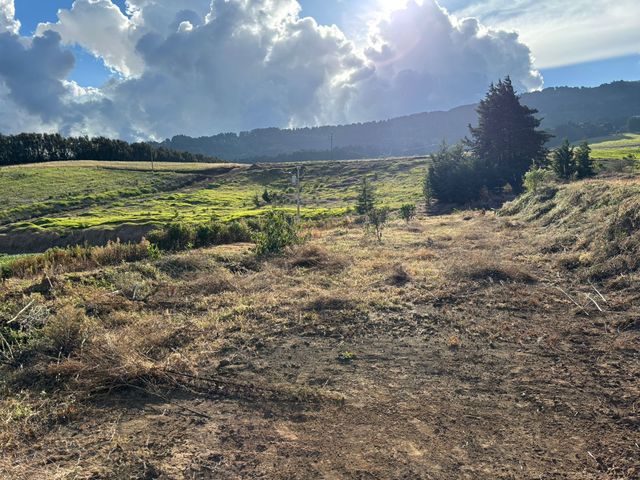 Terrenos Proyecto Residencial Cumbre Verde — photo 4 of 12