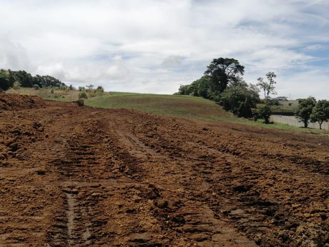 Terrenos Proyecto Residencial Cumbre Verde — photo 10 of 12