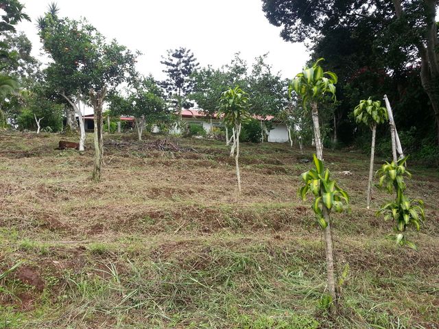Casa calle San Rafael — photo 9 of 24