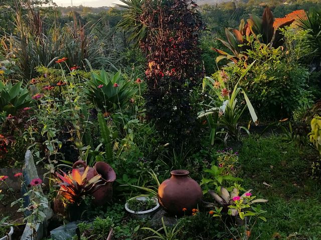 Casa calle San Rafael — photo 14 of 24