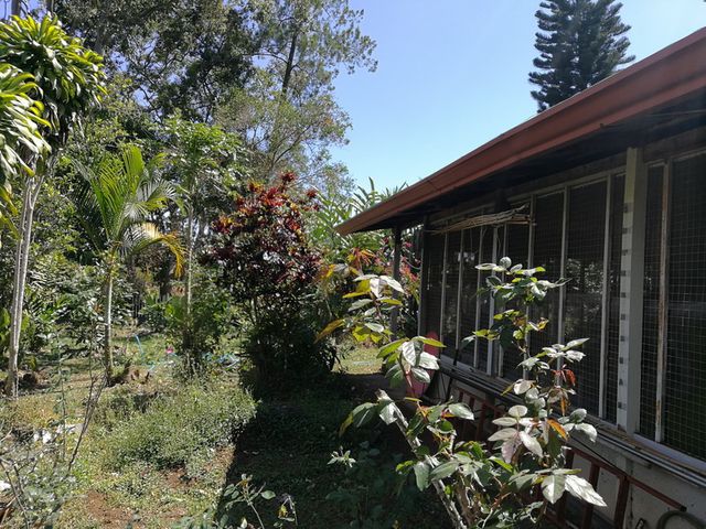 Casa calle San Rafael — photo 18 of 24