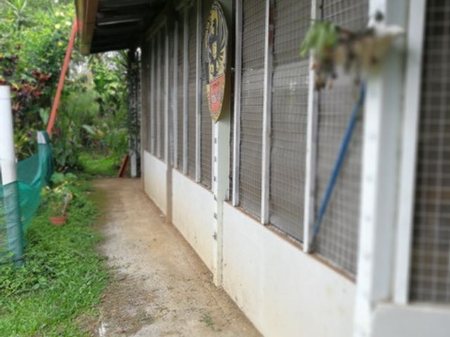 Casa calle San Rafael — photo 11 of 24