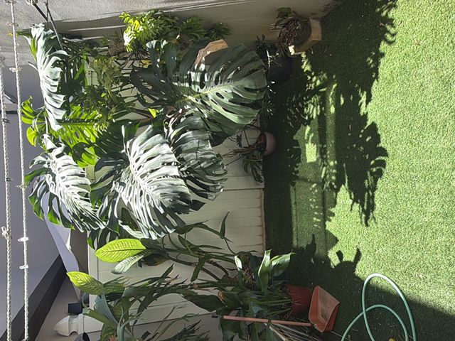 Condominio — photo 4 of 6