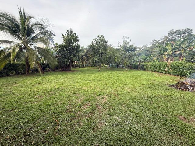 Precioso terreno a 20 metros de la Fortuna — photo 2 of 12