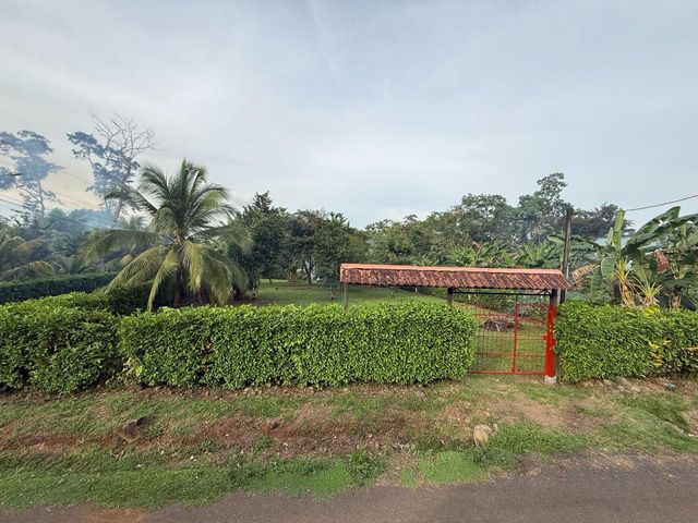Precioso terreno a 20 metros de la Fortuna — photo 3 of 12