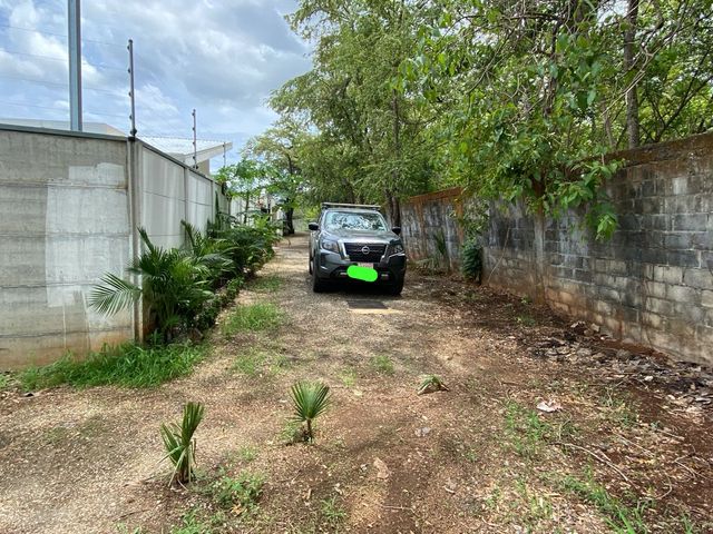T-Juben — foto 5 de 5