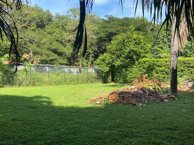 T-Tonio — foto 2 de 5