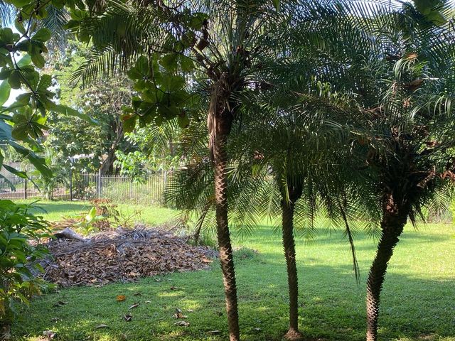 T-Tonio — foto 4 de 5