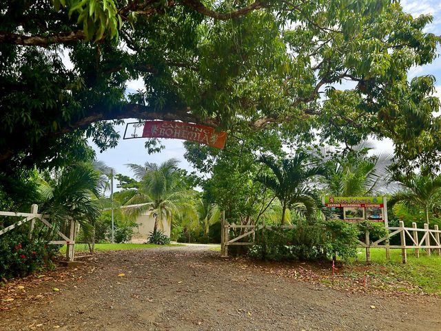 T- Salinitas Mango — photo 3 of 5