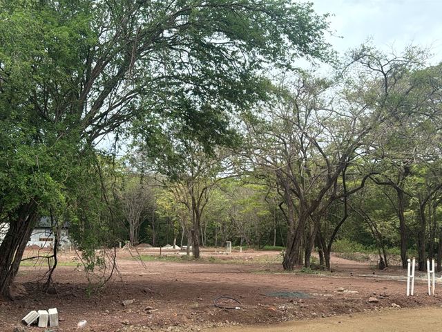 T- Tama centro Ju — foto 2 de 5