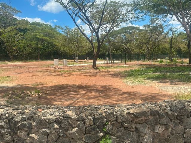 T- Tama centro Ju — foto 3 de 5