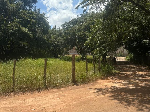 T-Rosa Fe Ju — foto 1 de 5