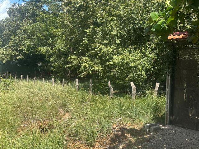 T-Rosa Fe Ju — foto 5 de 5