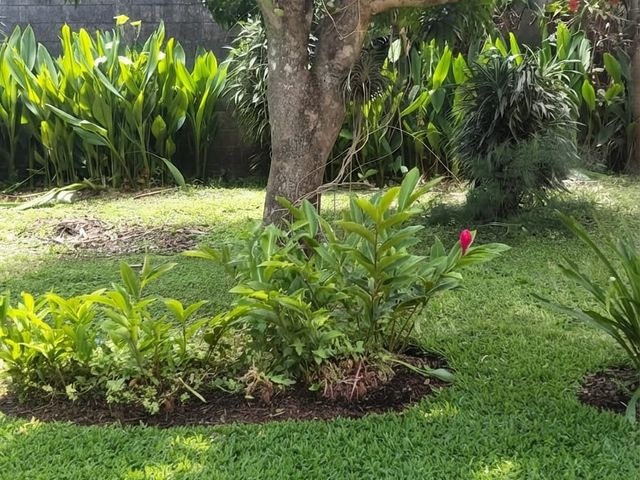 Terreno con Potencial Comercial y Residencial en San Rafael de Heredia — foto 4 de 5