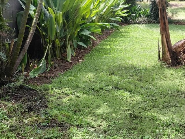 Terreno con Potencial Comercial y Residencial en San Rafael de Heredia — foto 5 de 5