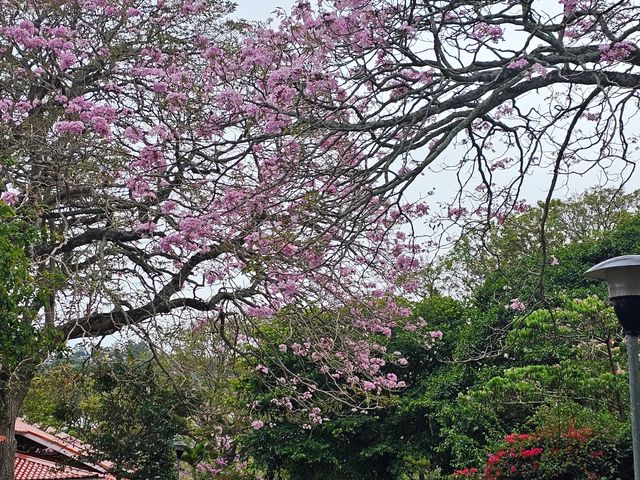 Villas San Rafael — photo 5 of 5