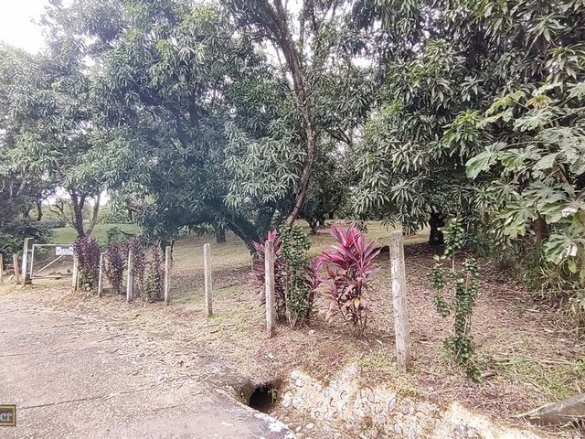VENTA Gran lote en San Mateo de Alajuela — photo 11 of 19