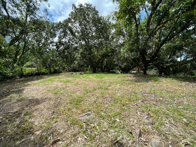VENTA Gran lote en San Mateo de Alajuela — photo 10 of 19