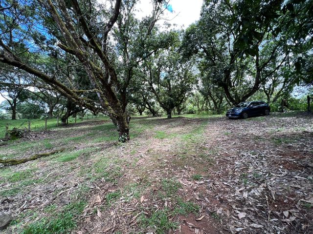 VENTA Gran lote en San Mateo de Alajuela — photo 13 of 19