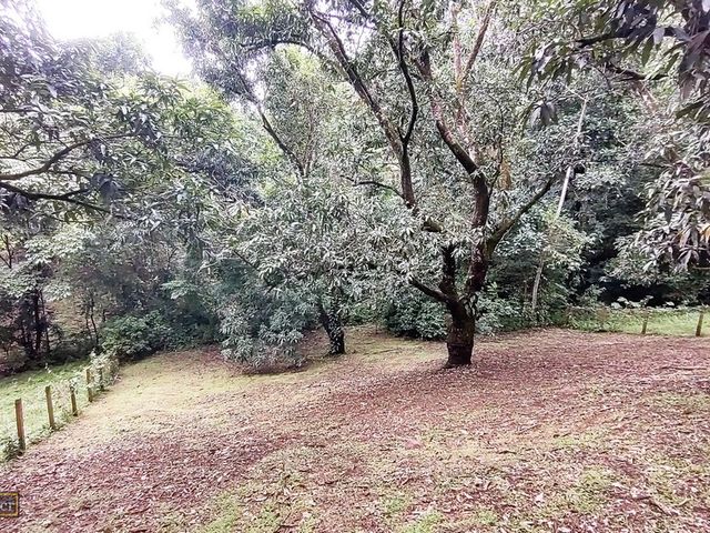 VENTA Gran lote en San Mateo de Alajuela — photo 2 of 19