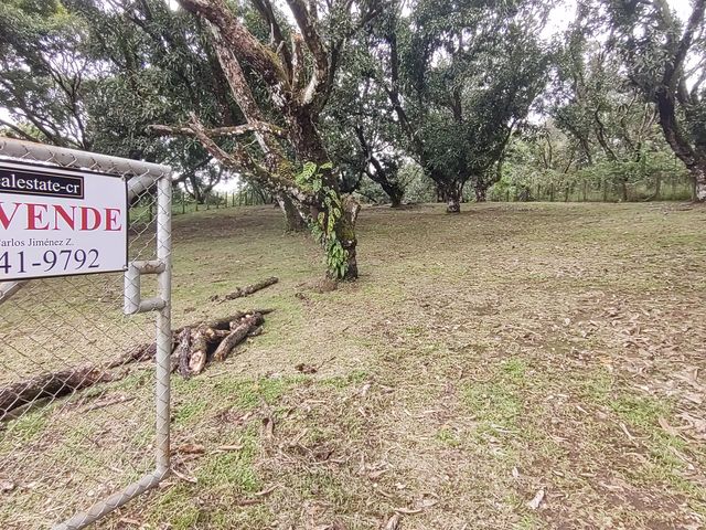VENTA Gran lote en San Mateo de Alajuela — photo 16 of 19