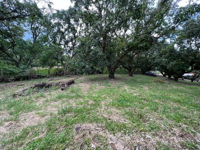 VENTA Gran lote en San Mateo de Alajuela — photo 6 of 19