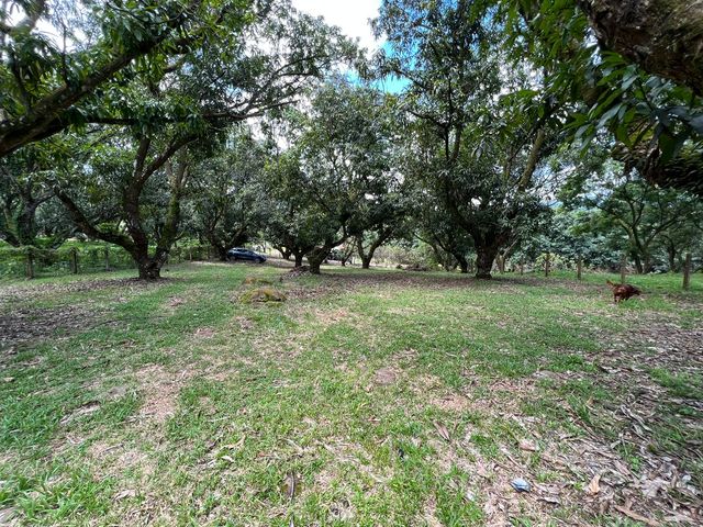 VENTA Gran lote en San Mateo de Alajuela — photo 12 of 19