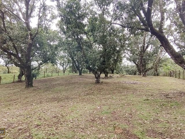 VENTA Gran lote en San Mateo de Alajuela — photo 4 of 19