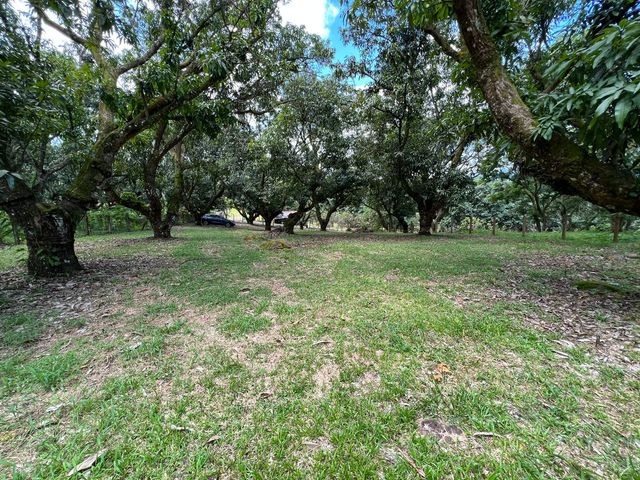 VENTA Gran lote en San Mateo de Alajuela — photo 17 of 19