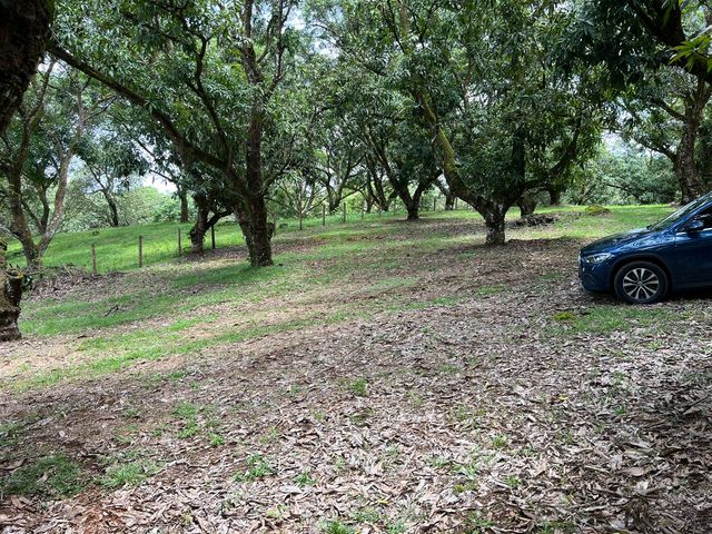 VENTA Gran lote en San Mateo de Alajuela — photo 15 of 19