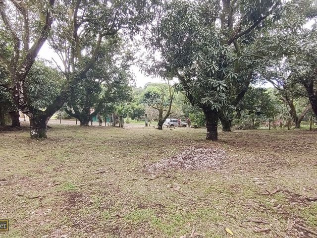 VENTA Gran lote en San Mateo de Alajuela — photo 3 of 19