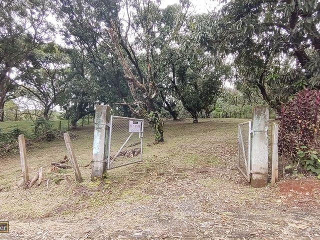 VENTA Gran lote en San Mateo de Alajuela — photo 18 of 19